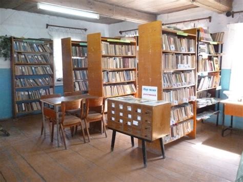  Detskaya Selskaya Biblioteka: A Legacy Built on Books and Boldness